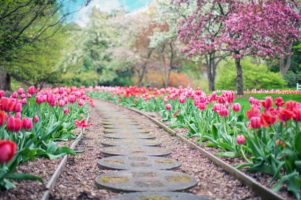 pathway-2289978_640
